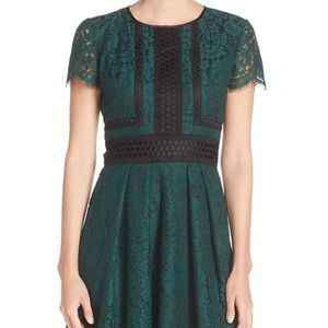 Eliza J Lace Fit & Flare Dress
